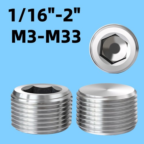 Bsp npt male stainless - male,